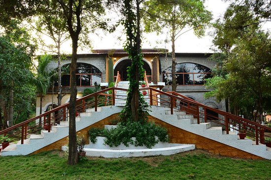 jungle king resort2