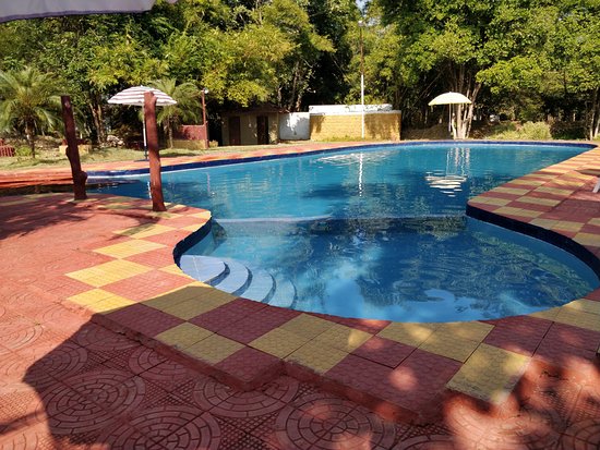 jungle king resort5