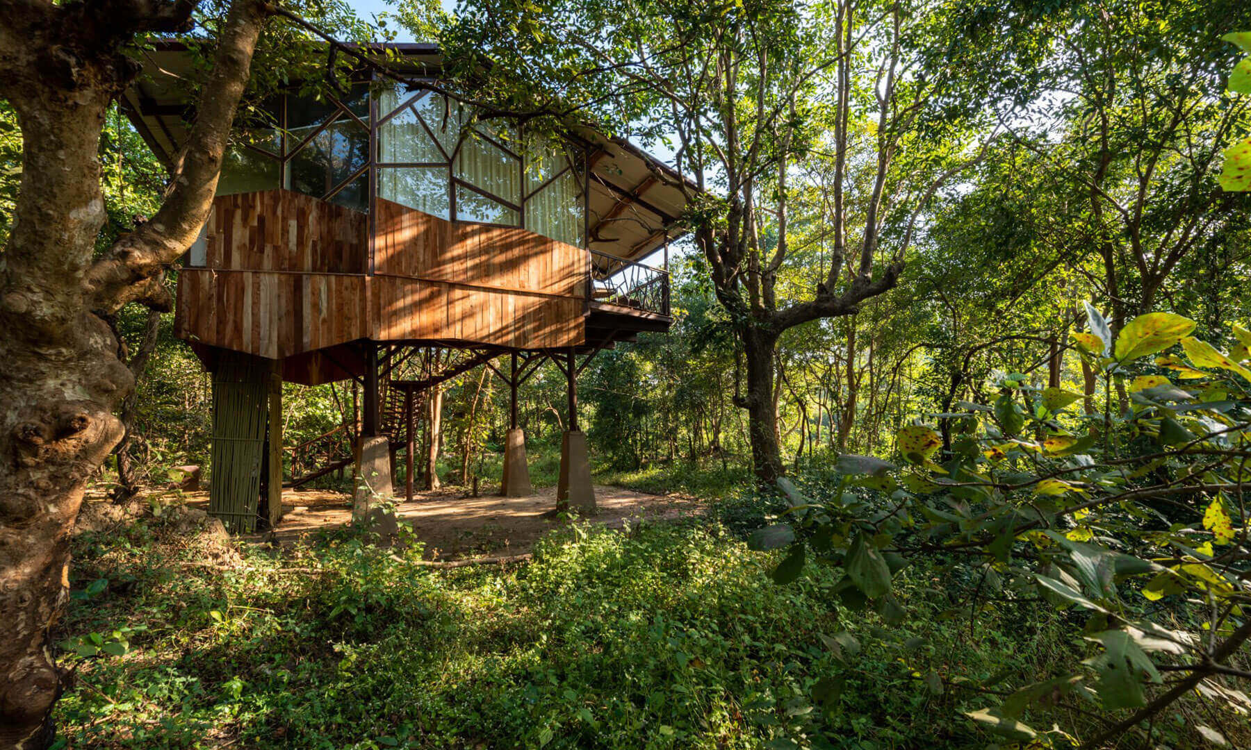 Jungle Camp resort2