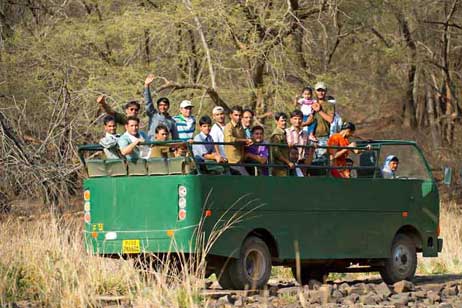 Kanha fauna